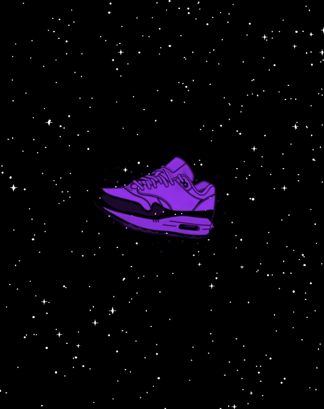 PROVEEDOR ZAPAS